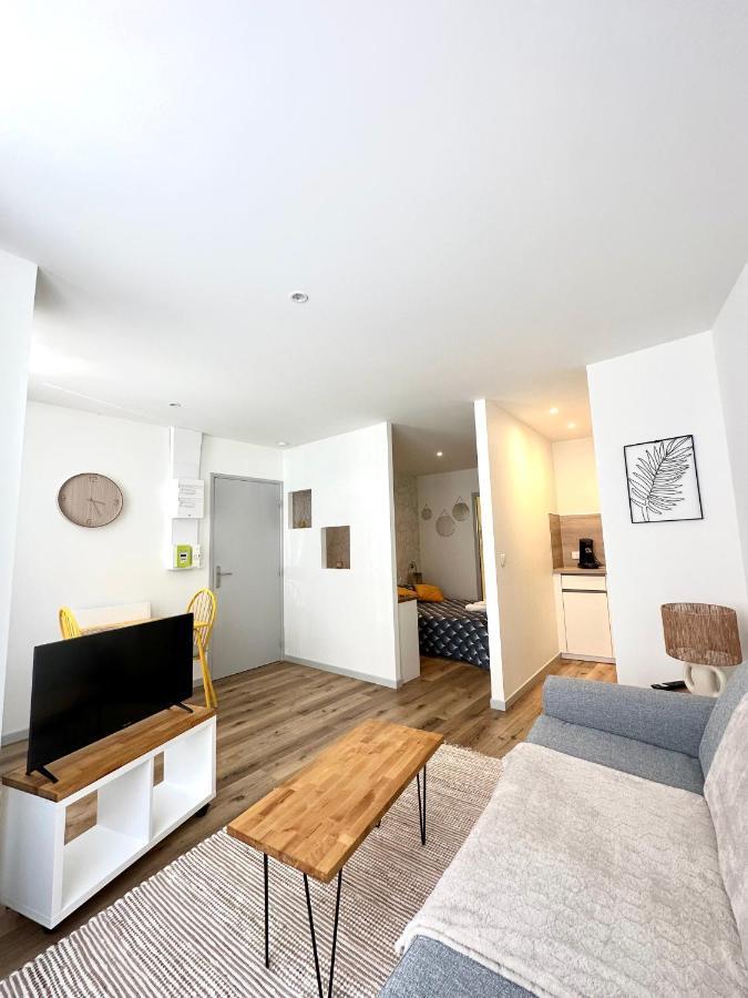 Bel Appartement En Plein Centre Ville Limoges Zewnętrze zdjęcie